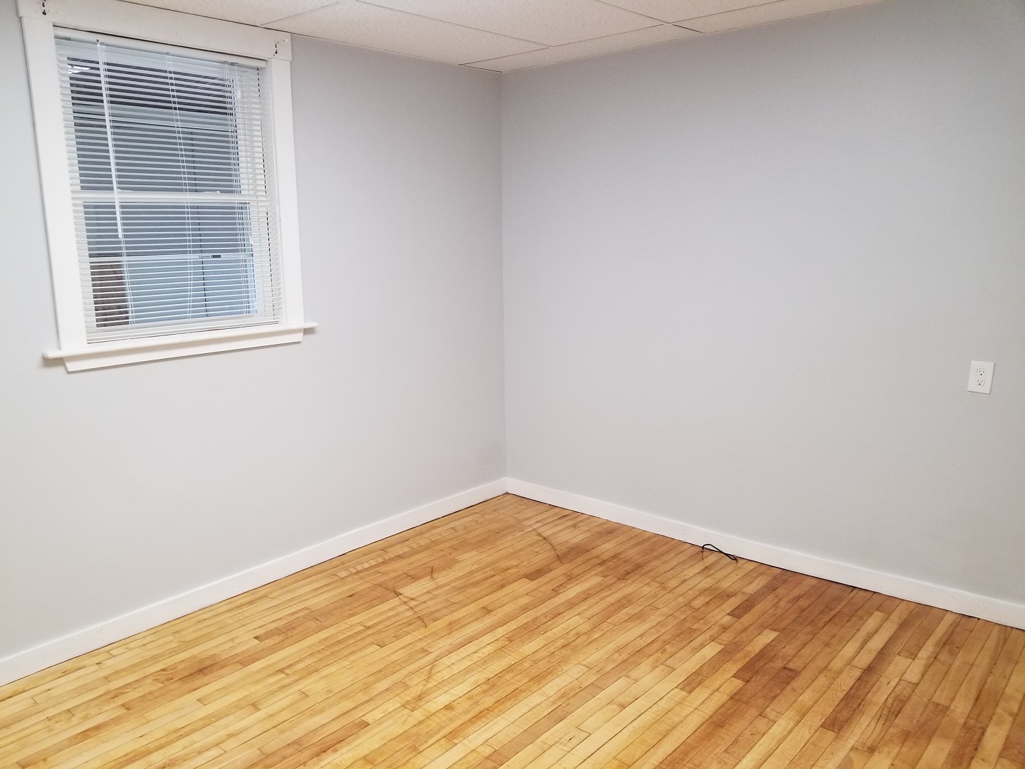 59 Dover St - Photo 12