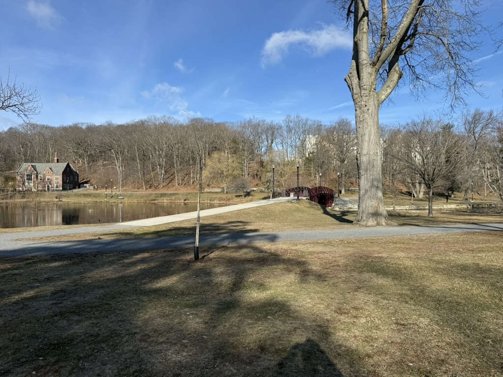 Elm Park — iron bridge and pond