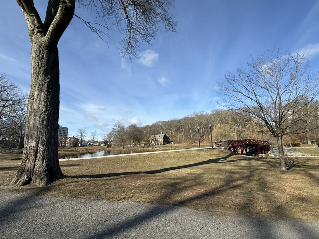 Elm Park — panoramic view with walking paths