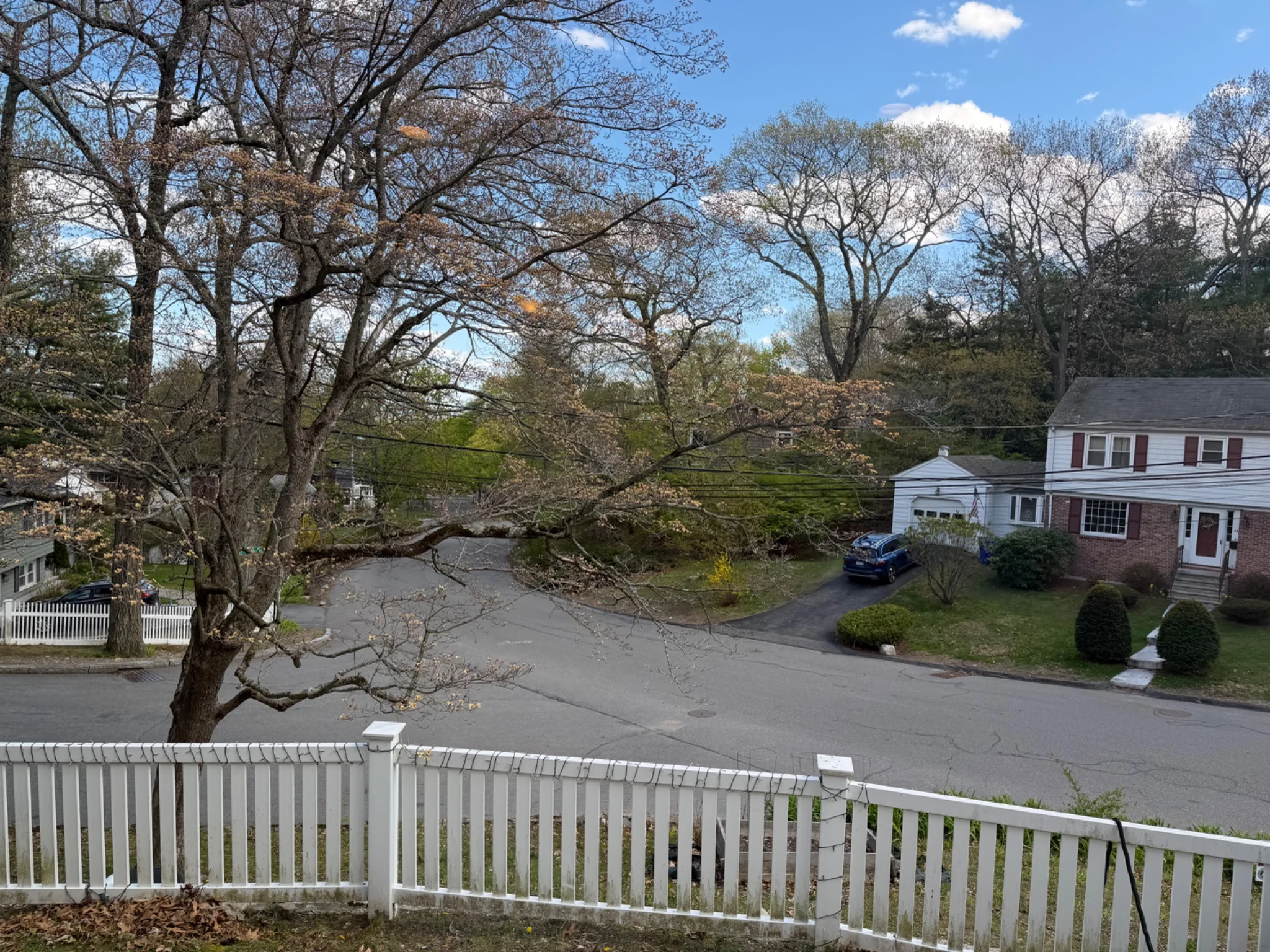 119 Ridge St, Arlingotn, MA, 02474 - Photo 7